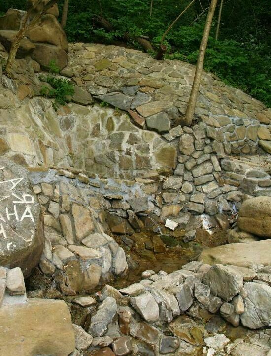 Сосны под снегом в феврале фото Сосны под снегом фото